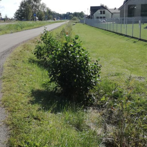 IMG_20170921_123342 (Copy)